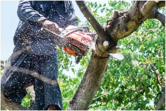tree services Marlow